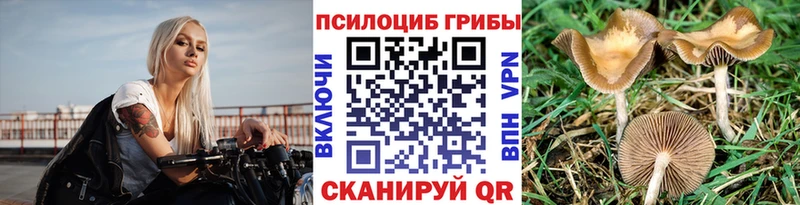 Псилоцибиновые грибы Psilocybine cubensis  Купить закладки  Чайковский 